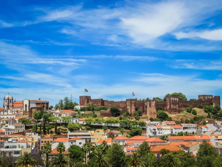 9716cc539e6441b1_82be72f108d9d83ae880aec8a3cfecd8